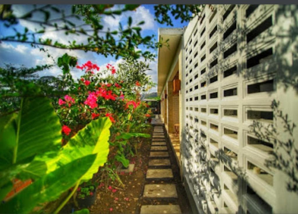 Surya Lombok Accommodation Selong Blanak Exterior foto